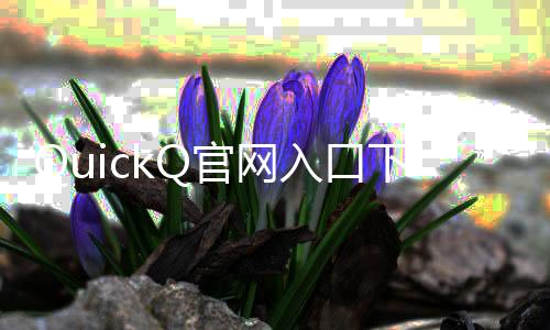 快速提升工作效率的利器——QuickQ让你事半功倍